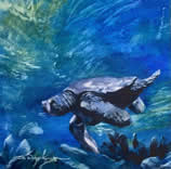 Myrtle the Sea Turtle by Sheila Newquist